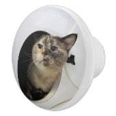 Kat Keramische Knop (Rechts)