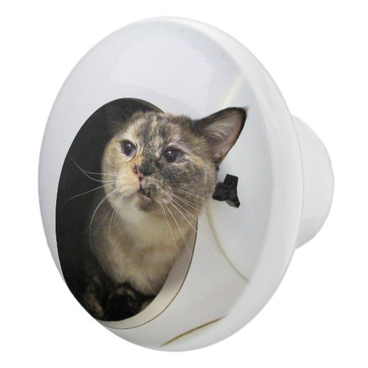 Kat Keramische Knop (Rechts)