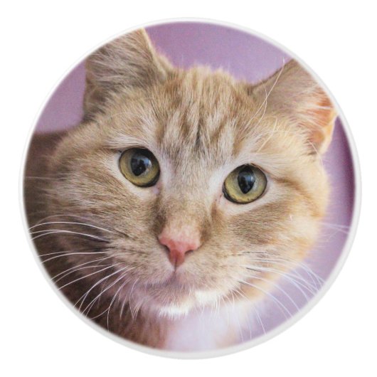 Kat Keramische Knop (Voorkant)