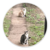 Kat Keramische Knop (Voorkant)