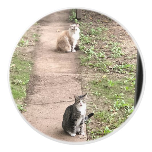 Kat Keramische Knop (Voorkant)