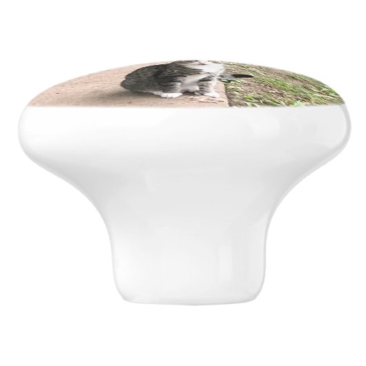 Kat Keramische Knop (Zijkant)