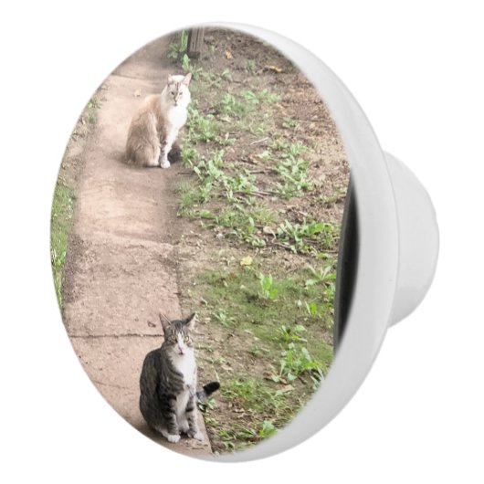 Kat Keramische Knop (Rechts)