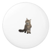 Kat Keramische Knop (Voorkant)
