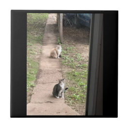 Kat keramische tapijten tegeltje