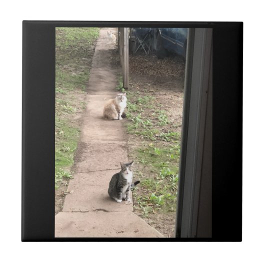 Kat keramische tapijten tegeltje (Voorkant)