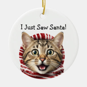 Kat Kerst Humor Kat Ornament