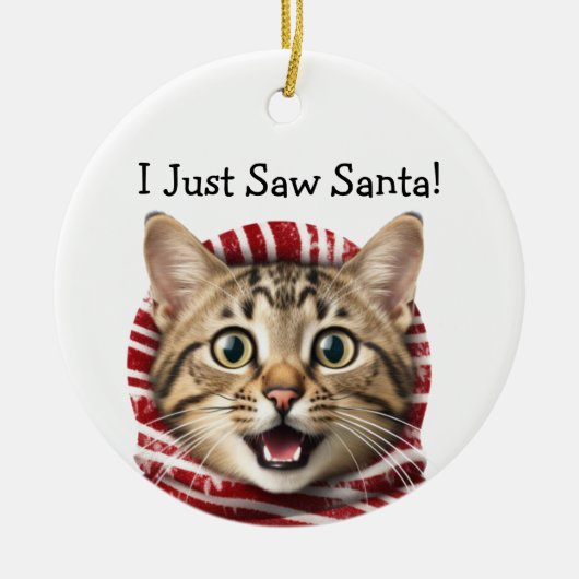 Kat Kerst Humor Kat Ornament (Voorkant)