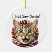 Kat Kerst Humor Kat Ornament (Achterkant)
