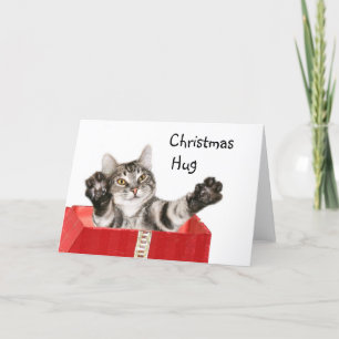 Kat kerst knuffel feestdagen kaart