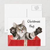 Kat kerst knuffel feestdagenkaart (Voorkant / Achterkant)