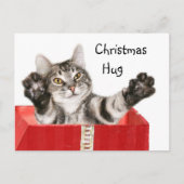 Kat kerst knuffel feestdagenkaart (Voorkant)