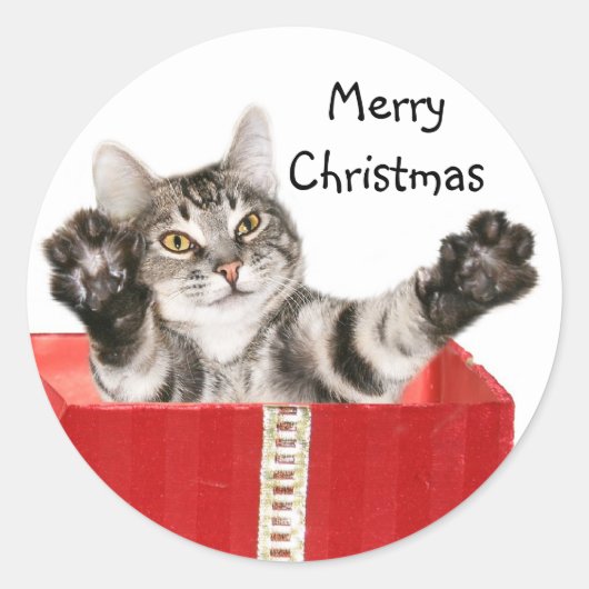 Kat kerst knuffel ronde sticker (Voorkant)