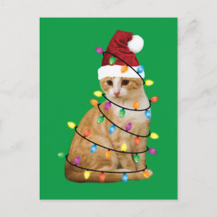 Kat kerstboom Santa Funny Xmas Kat Lover Briefkaart