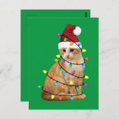 Kat kerstboom Santa Funny Xmas Kat Lover Briefkaart (Voorkant / Achterkant)
