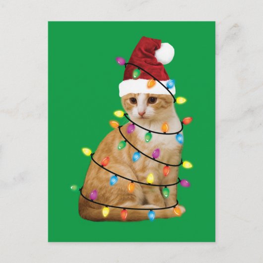 Kat kerstboom Santa Funny Xmas Kat Lover Briefkaart (Voorkant)