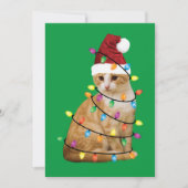Kat kerstboom Santa Funny Xmas Kat Lover Kaart (Voorkant)