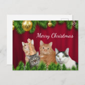 Kat-kerstfeest Feestdagenkaart (Voorkant / Achterkant)