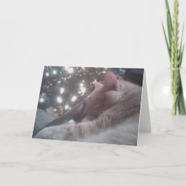 Kat kerstkaart feestdagen kaart