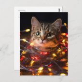 Kat kerstlampjes briefkaart (Voorkant / Achterkant)