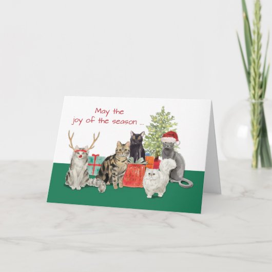 Kat Kerstmis en beter nieuwjaar Kaart (Voorkant)