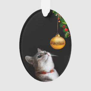 Kat-Kerstmis met een verholen katje Ornament