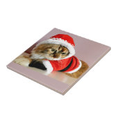 Kat-kerstpak met prettig kerstfeest tegeltje (Zijkant)