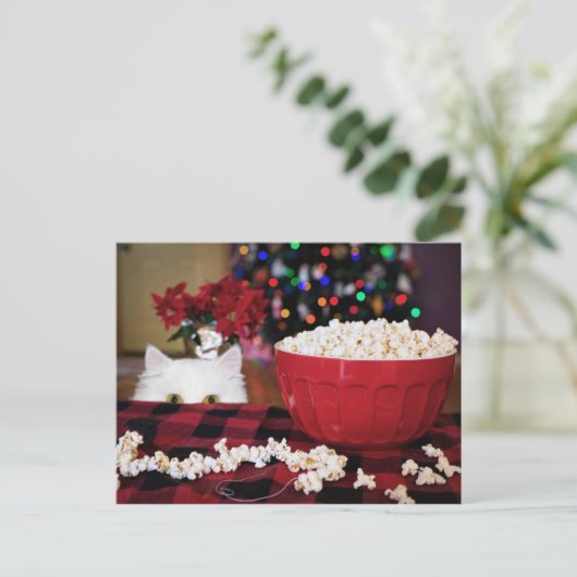 Kat-kerstverleiding Briefkaart (Staand voorkant)