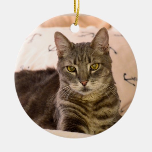 Kat-kerstversiering van Greg tabby Keramisch Ornament (Voorkant)