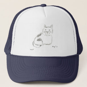 Kat ketch Pet