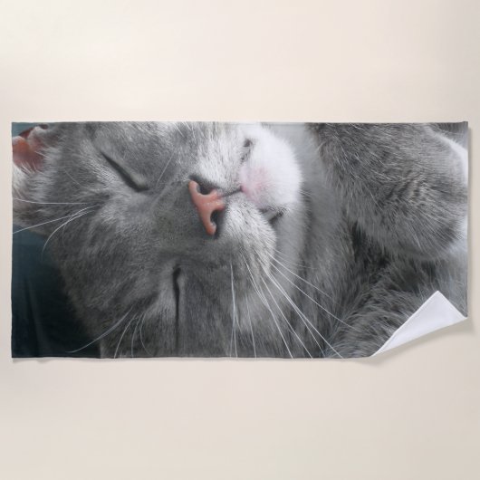 Kat-keukenhanddoek Strandlaken (Voorkant)