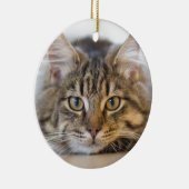 Kat Kijkend naar u Keramisch Ornament (Rechts)