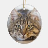 Kat Kijkend naar u Keramisch Ornament (Links)