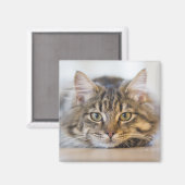 Kat Kijkend naar u Magneet (Voorkant / Achterkant)