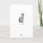 kat kijkt in de spiegel kaart (Achterkant)