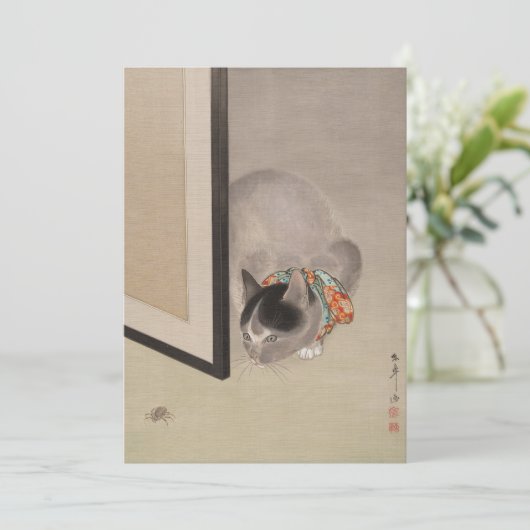 Kat kijkt naar een spin | Oide Tōkō (Staand voorkant)