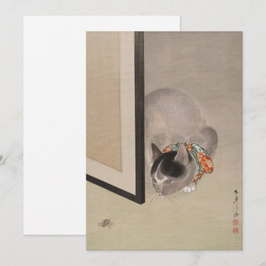 Kat kijkt naar een spin | Oide Tōkō (Voorkant / Achterkant)