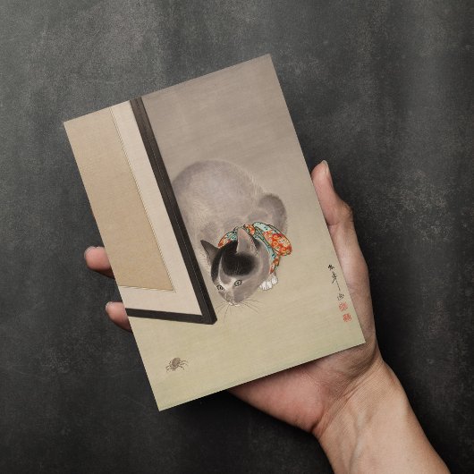 Kat kijkt naar een spin | Oide Tōkō Kaart