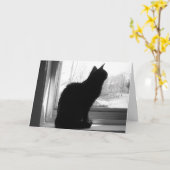 Kat kijkt uit kaart (Gele Bloem)