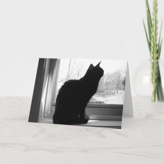 Kat kijkt uit kaart (Voorkant)
