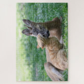 Kat kissende herten op gras buiten legpuzzel (Verticaal)