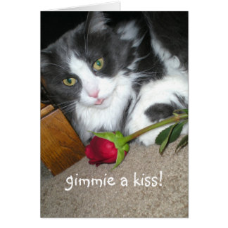 Kat Kisses Romantic-kaart