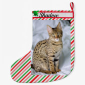 Kat Kitten Foto Leuke Kerst Kous Naam toevoegen Grote Kerstsok (Achterkant)