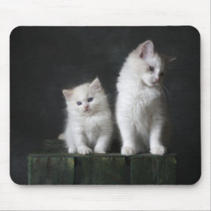 Kat, kitten, katachtige muismat