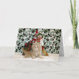 Kat, Kitten, Kerstmis, Redding, Foto Feestdagen Kaart