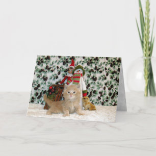 Kat, Kitten, Kerstmis, Redding, Foto Feestdagen Kaart