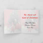 Kat, Kitten, Kerstmis, Redding, Foto Feestdagen Kaart (Binnen)