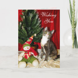 Kat, Kitten, Kerstmis, Redding, Foto Feestdagen Kaart
