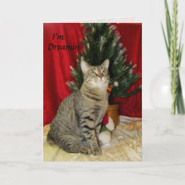 Kat, Kitten, Kerstmis, Redding, Foto Feestdagen Kaart