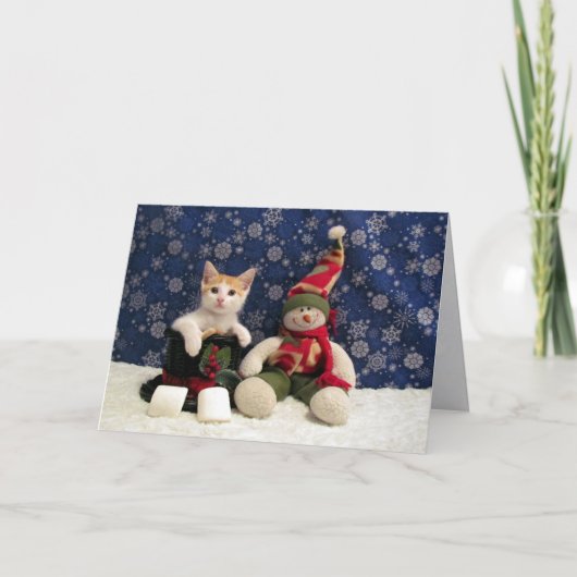 Kat, Kitten, Kerstmis, Redding, Foto Feestdagen Kaart (Voorkant)